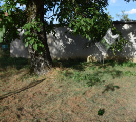 Récolter la rosée, installation, tissage, fil de pêche et crin de cheval, pot en verre