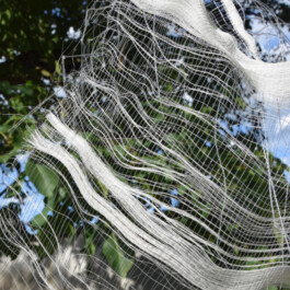 Récolter la rosée, tissage Photographie © Léa Lebrun 